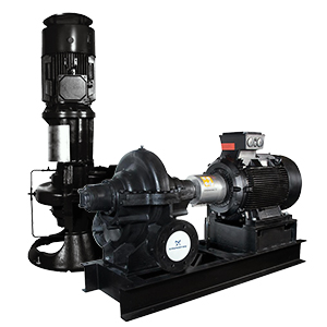 Horizontal Split Case Pumps